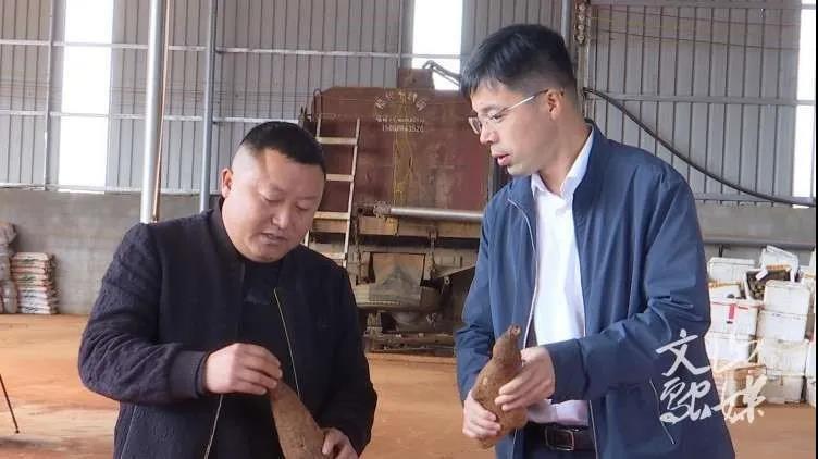 瓦力游戏| 首页 -瓦力出品,必属精品