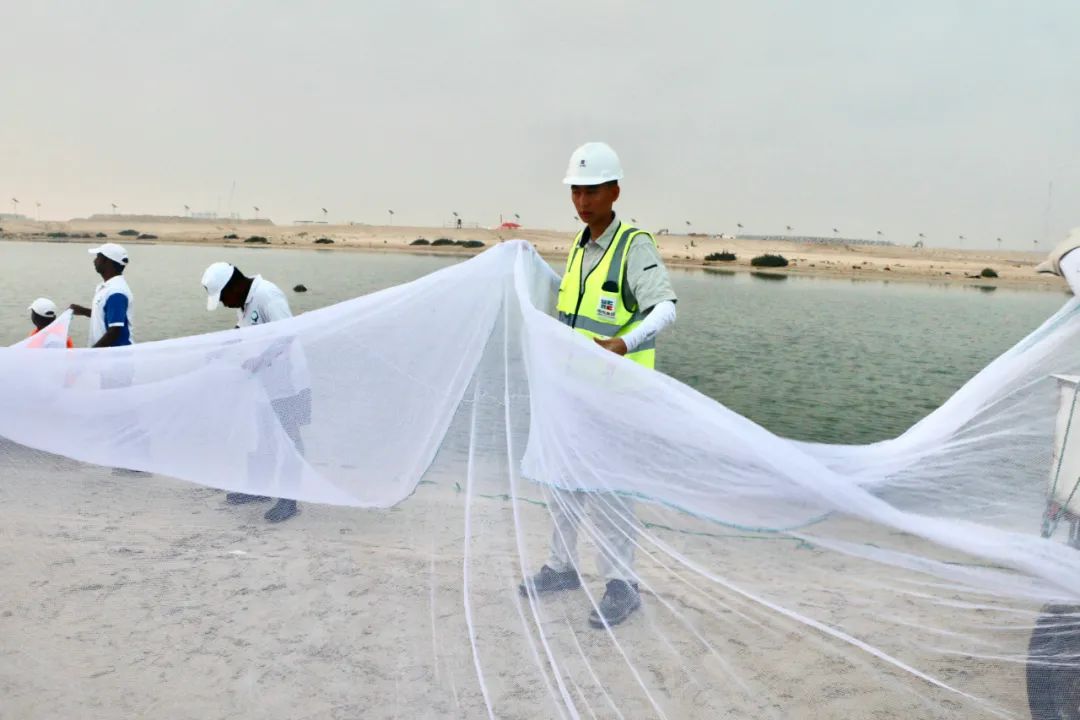 瓦力游戏| 首页 -瓦力出品,必属精品