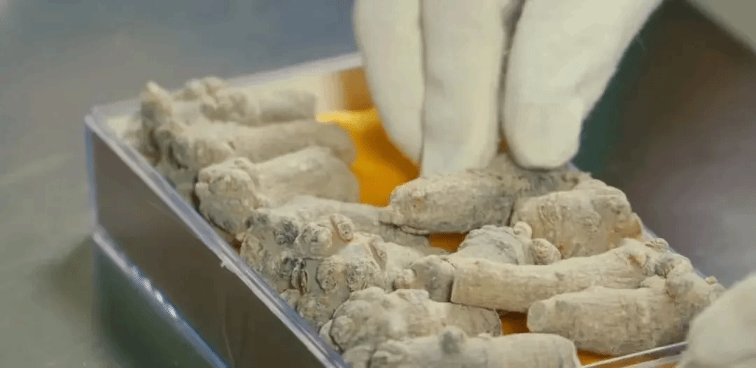 瓦力游戏| 首页 -瓦力出品,必属精品