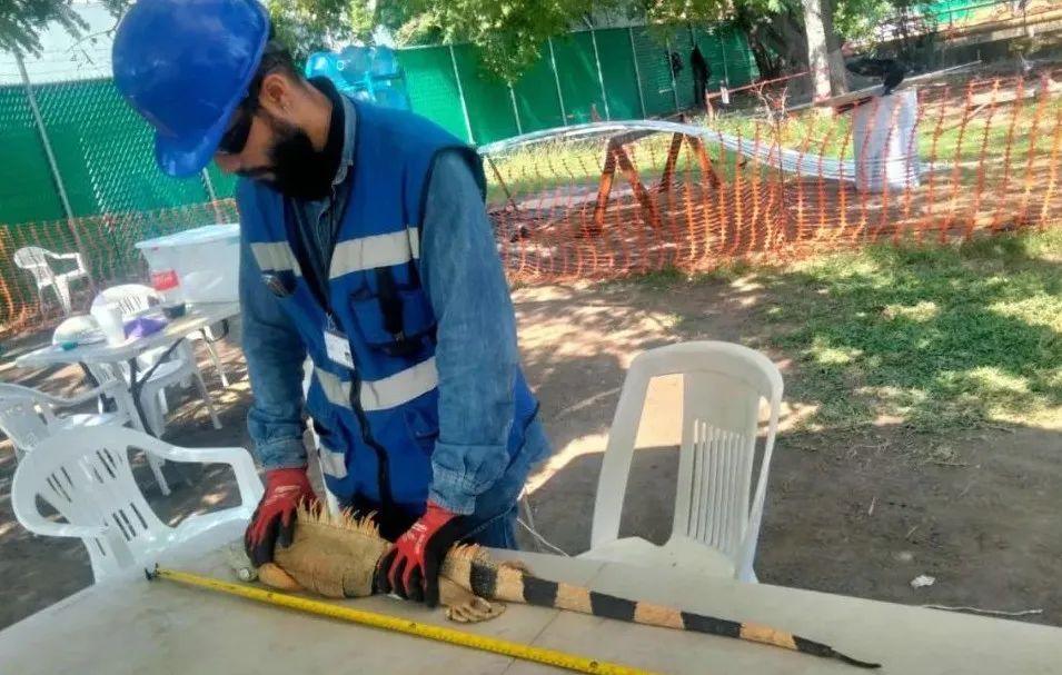 瓦力游戏| 首页 -瓦力出品,必属精品