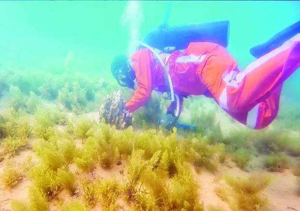 瓦力游戏| 首页 -瓦力出品,必属精品