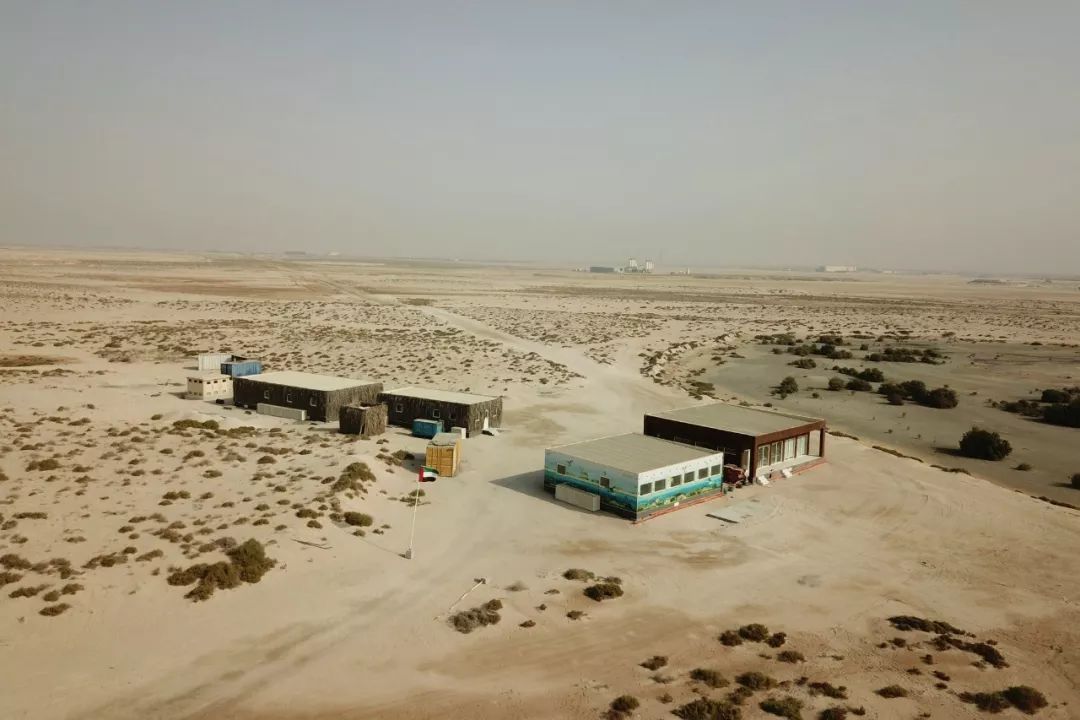 瓦力游戏| 首页 -瓦力出品,必属精品