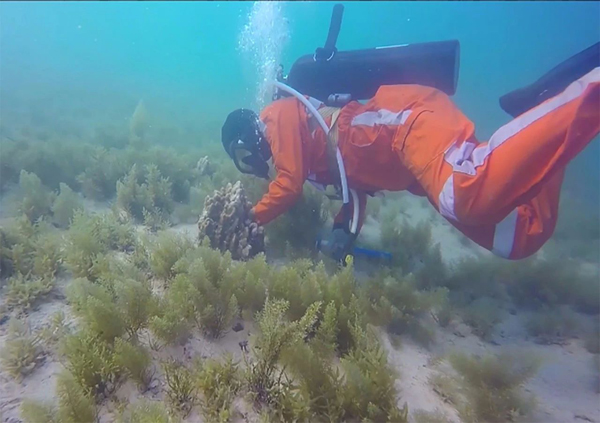 瓦力游戏| 首页 -瓦力出品,必属精品