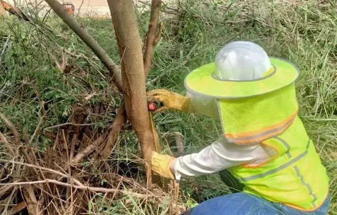 瓦力游戏| 首页 -瓦力出品,必属精品