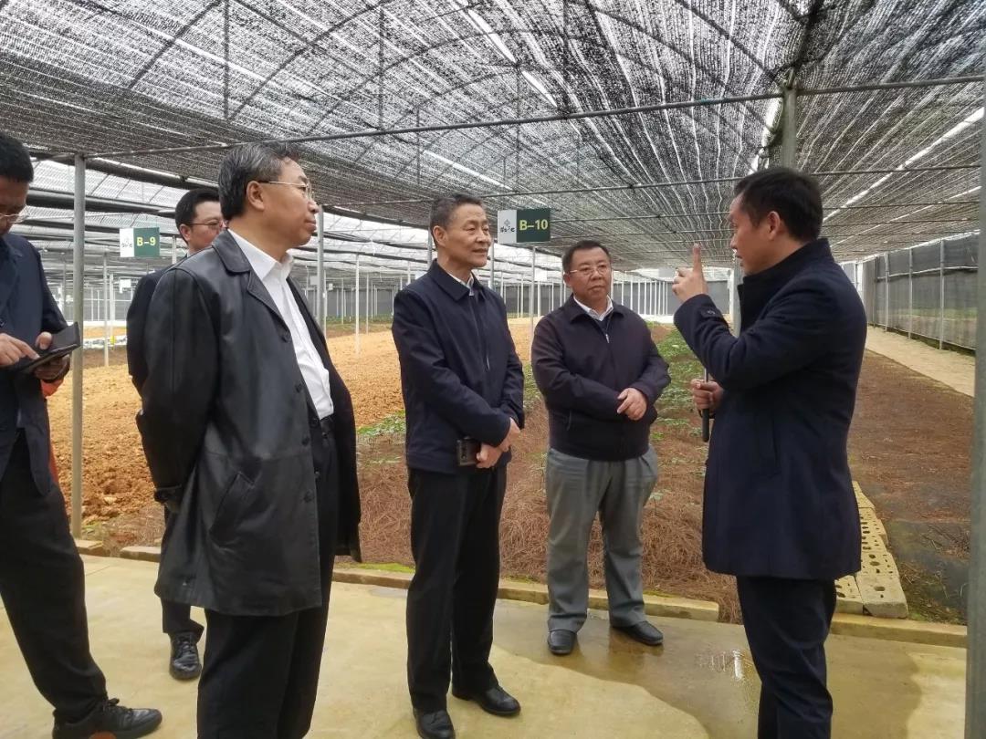 瓦力游戏| 首页 -瓦力出品,必属精品