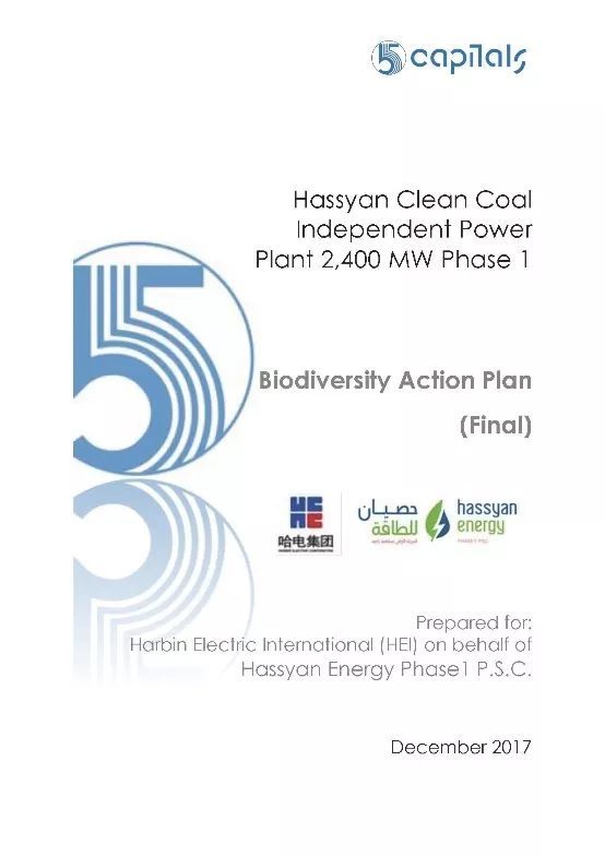 瓦力游戏| 首页 -瓦力出品,必属精品