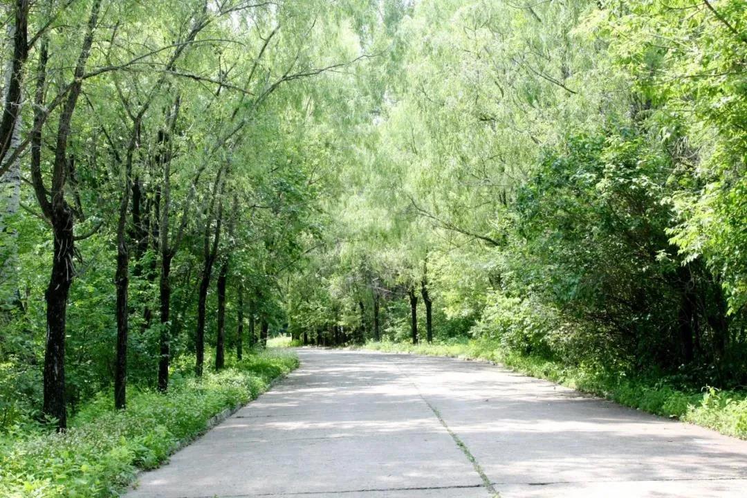 瓦力游戏| 首页 -瓦力出品,必属精品