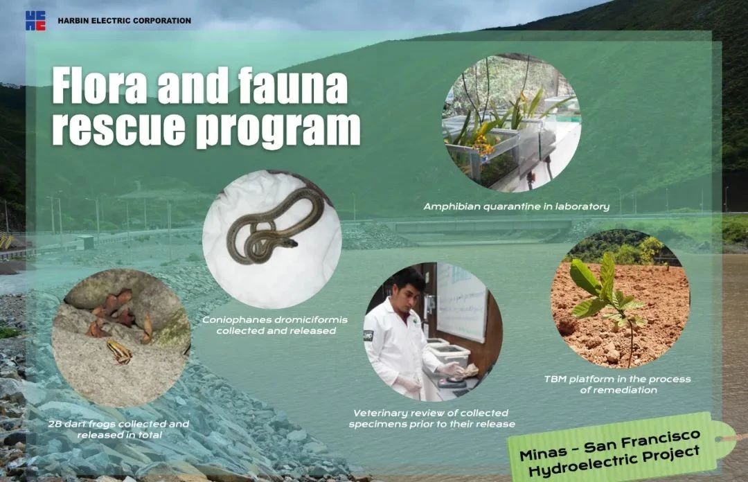 瓦力游戏| 首页 -瓦力出品,必属精品