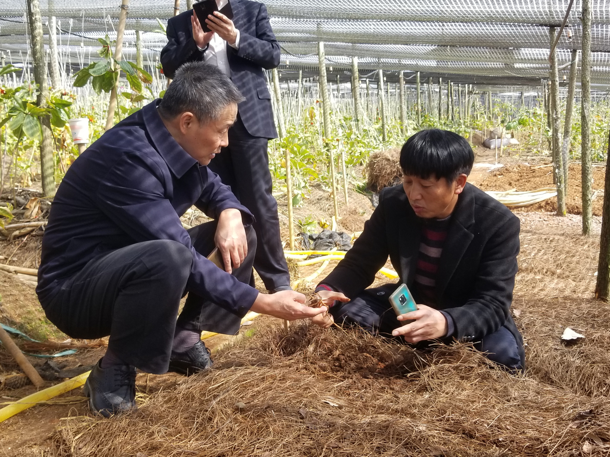 瓦力游戏| 首页 -瓦力出品,必属精品