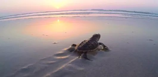 瓦力游戏| 首页 -瓦力出品,必属精品