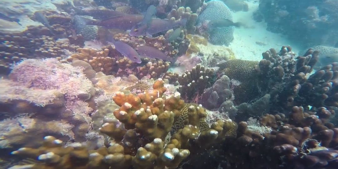 瓦力游戏| 首页 -瓦力出品,必属精品