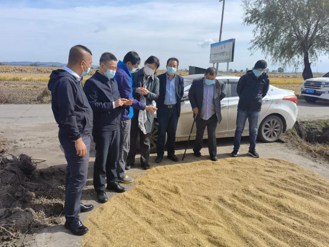 瓦力游戏| 首页 -瓦力出品,必属精品