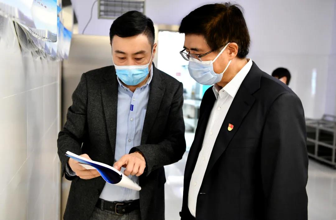 BEF6282E9620FD24A9B35711E9D_7F203452_10DC9.jpg?e=