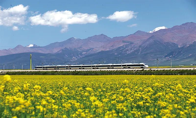 张玉卓、、国资、、央企、、国资委、、书记、、主任、、国企、、企业刷新