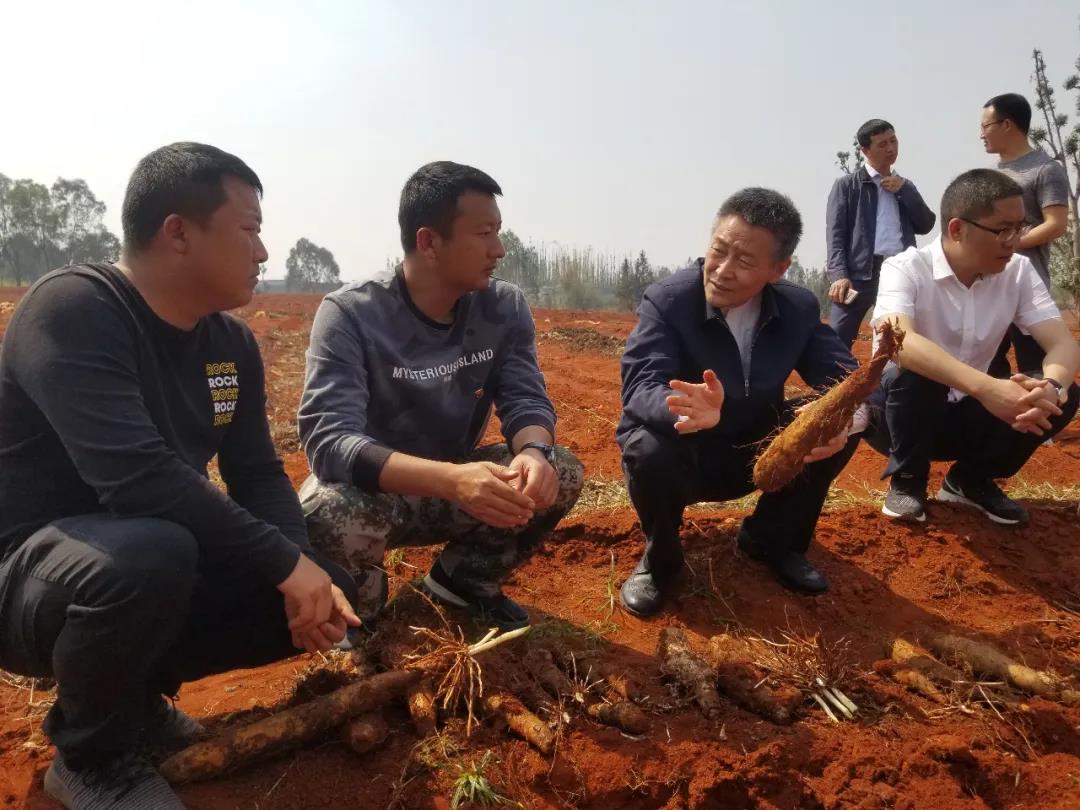 瓦力游戏| 首页 -瓦力出品,必属精品