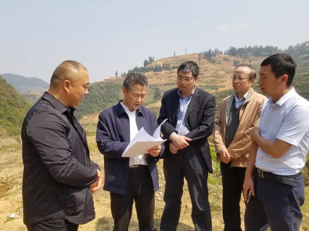 瓦力游戏| 首页 -瓦力出品,必属精品