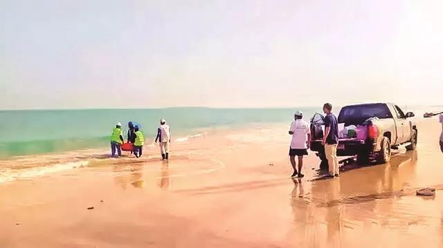 瓦力游戏| 首页 -瓦力出品,必属精品