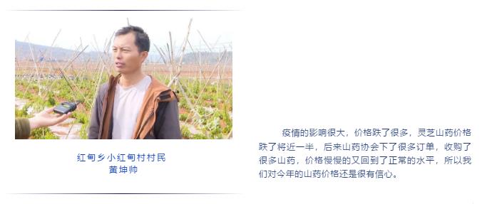 瓦力游戏| 首页 -瓦力出品,必属精品