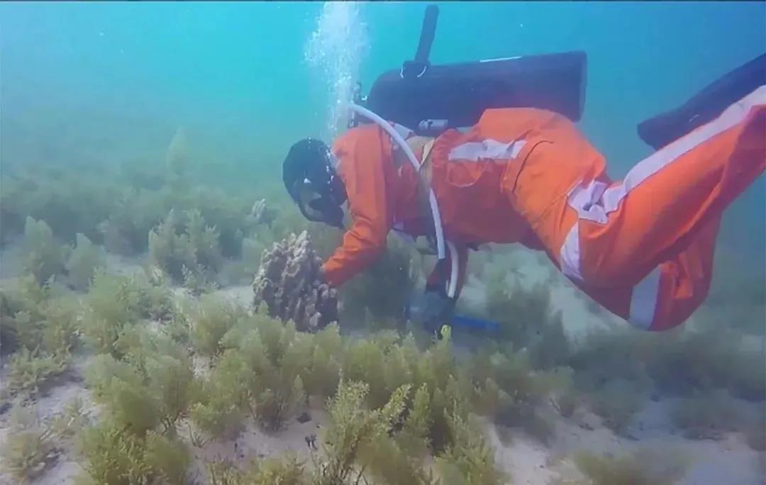 瓦力游戏| 首页 -瓦力出品,必属精品